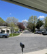 Photo 2 for 5100 S El Sendero Cir
