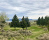 Photo 1 for 2669 S Nine Iron Cir