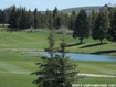Photo 4 for 151  Hickock Dr