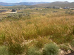 Photo 4 for 3000 S Country Way