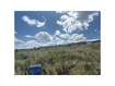Photo 6 for 3331 S Snowshoe Cir