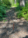 Photo 5 for 6752 E Millcreek Canyon Road Rd ##36