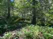 Photo 6 for 6752 E Millcreek Canyon Road Rd ##36