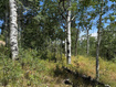 Photo 2 for 1968  Elk