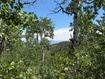 Photo 3 for 1968  Elk