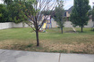 Photo 6 for 3282 N 1375 W