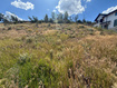 Photo 2 for 641 N Lochwood Dr