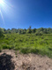 Photo 6 for 13606 E 22460 N