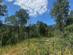Photo 2 for 2684 S Forest Meadow Rd