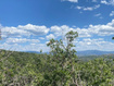 Photo 4 for 145  K Forest Meadow Rd