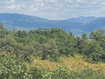 Photo 6 for 145  K Forest Meadow Rd