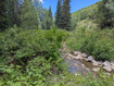 Photo 4 for 11319 E Tanglewood Dr