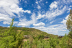 Photo 6 for 2185  Bear Hollow Dr