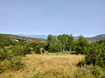 Photo 1 for 1813 S Greenleaf Rd