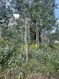 Photo 4 for 2102 S Uintah View Dr