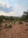 Photo 4 for 915 S Stagecoach Rd