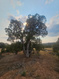 Photo 4 for 915 S Stagecoach Rd