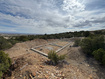 Photo 1 for 12261 S George Marett Dr