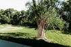 Photo 6 for 2660 E 3700 N