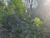 Photo 1 for 6151  Creekside Dr