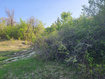 Photo 3 for 6151  Creekside Dr