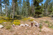 Photo 4 for 4868  Foothill Dr