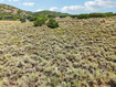 Photo 6 for 1275 E Canyon Gate Rd