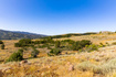 Photo 4 for 13213 E Oak Canyon Rd