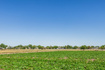 Photo 3 for 1104 W 10125 S