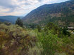 Photo 6 for 4060 E Wildlife Way