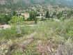 Photo 3 for 4060 E Wildlife Way