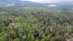 Photo 6 for 11152 E Green Briar Rd #460