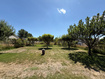 Photo 5 for 2303 W Cynthia Ann Cir
