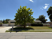 Photo 1 for 2303 W Cynthia Ann Cir