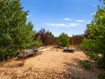 Photo 4 for 4270 N River Rd