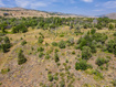 Photo 1 for 13184 E Evergreen Park Dr