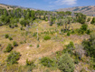 Photo 6 for 13184 E Evergreen Park Dr