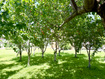 Photo 3 for 390 N 100 W