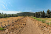 Photo 4 for 729 W Old Ranch Rd