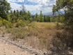 Photo 1 for 33  M Juniper Dr