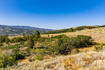 Photo 4 for 3344 N Oak Canyon Rd