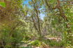 Photo 6 for 2316 E Rolling Oaks Ln