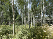 Photo 5 for 11485  Violet Way
