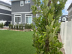Photo 6 for 87 E Meandering Way