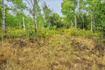 Photo 5 for 5397 E Colter Rd