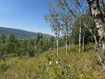 Photo 6 for 5397 E Colter Rd