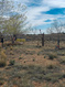 Photo 5 for Address Not Available