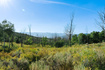 Photo 6 for 2280  Westview Dr