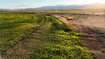 Photo 5 for 3003 N Us Highway 89