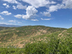 Photo 6 for 15  Kent Cyn